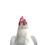 @BuisnessManRBX