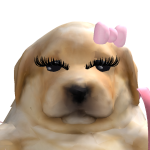 @bugabugadom