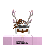 @v6rism