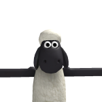 @lelandhill29