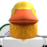 @Nikispieltroblox3