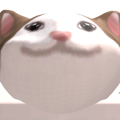 catface02011