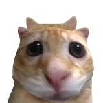 @vvuyonbedwars