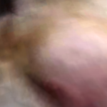 @moopud7