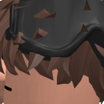 @RobloxmanLiam11