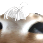 @SpidspidFalcon