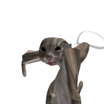 @raulito0999