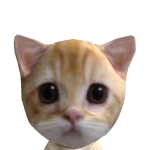 @zyIidian