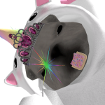 @H3LL0M1L3Y