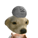 @u0xnz