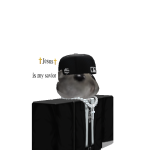 @Daniel_Gamerofa