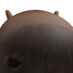 @duncanT2015