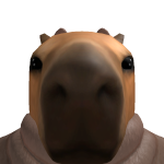 @PookiCaptain1000
