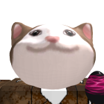 qqqqq3q33