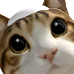 @Mattroblox07122