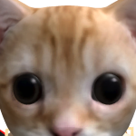 @sixflagesgreata
