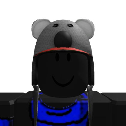 Roblox profile picture for @Partnered