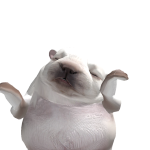 Chickenadobo