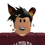 @CodaTheKoala