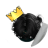 SHARKDEV_ALT2