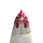 TeaPuncher900