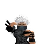 @icaroninja