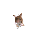 @Minnie_Sparkle