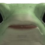 @Alexcco11