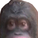 @swaggxool