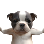 @babybalk1