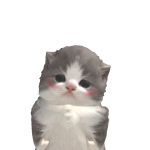 @somiiee