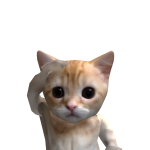 @tomcool_61