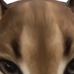 @stupidproxdxd