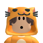 @roblox_gamer101209