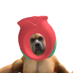 @THEKN0WIING