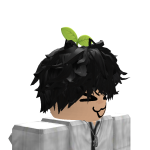 @Amyplayzroblokfor