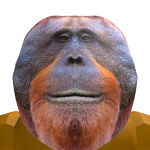 @The_MonkeKong