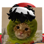 @azmeguy