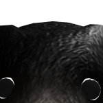 @gander164