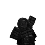 firedragonCHR1