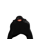 @foxypha123qwe
