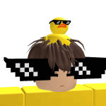 @Shonhunt_YT