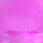 @PaKaHoRKM