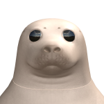@sollywastaken