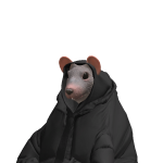 @quinniscoolyolo10