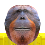 @roblox_user_417944696