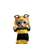 @Xxsunny_flurxses123
