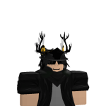 @rttr1233p
