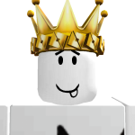 @roblox_user_1000808614