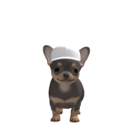 @brunis1209